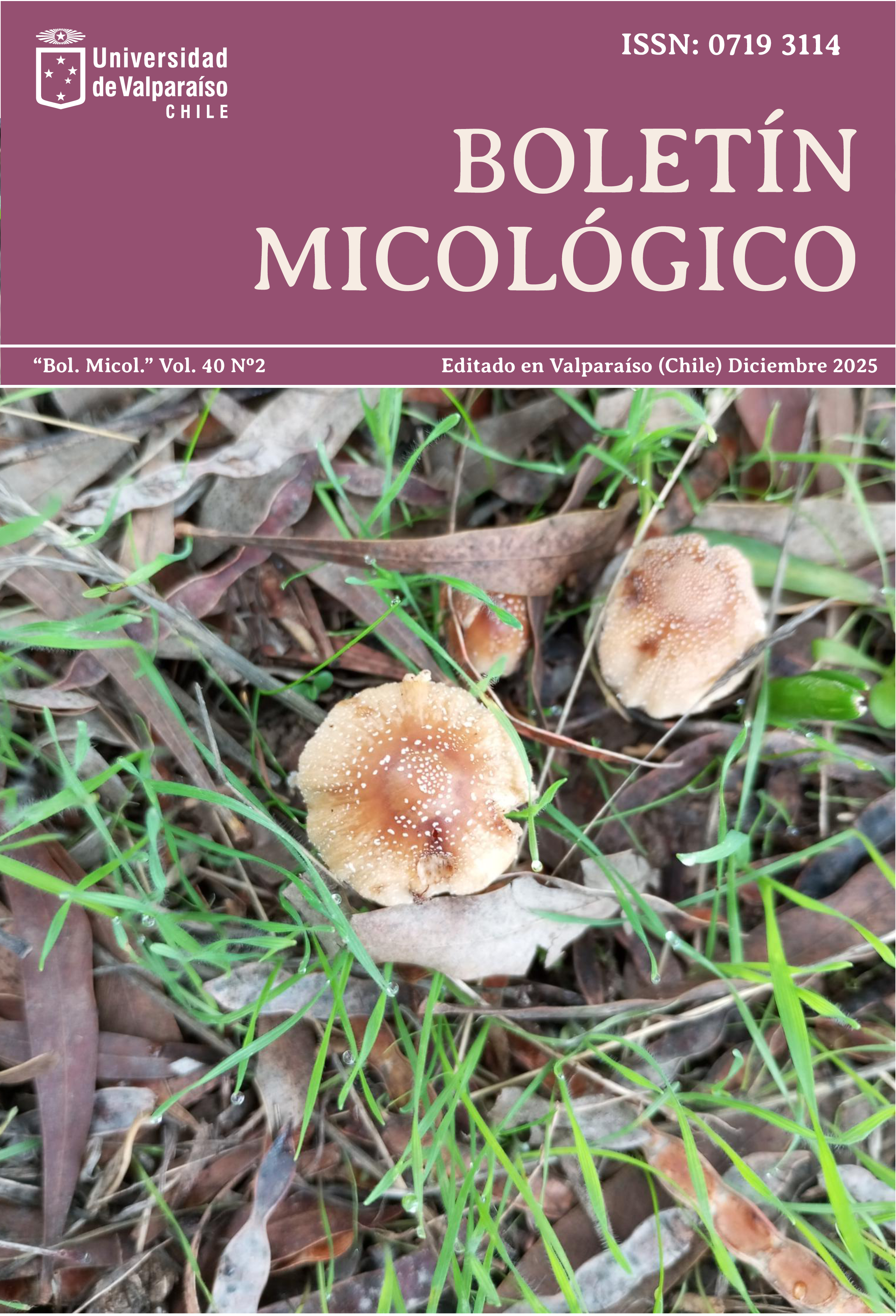 					Ver Vol. 40 Núm. 2 (2025)
				